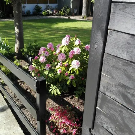 Mont פונטורסון